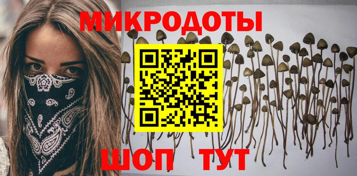 Красноармейск  Псилоцибиновые грибы мухоморы  купить закладку  Вход с VPN 